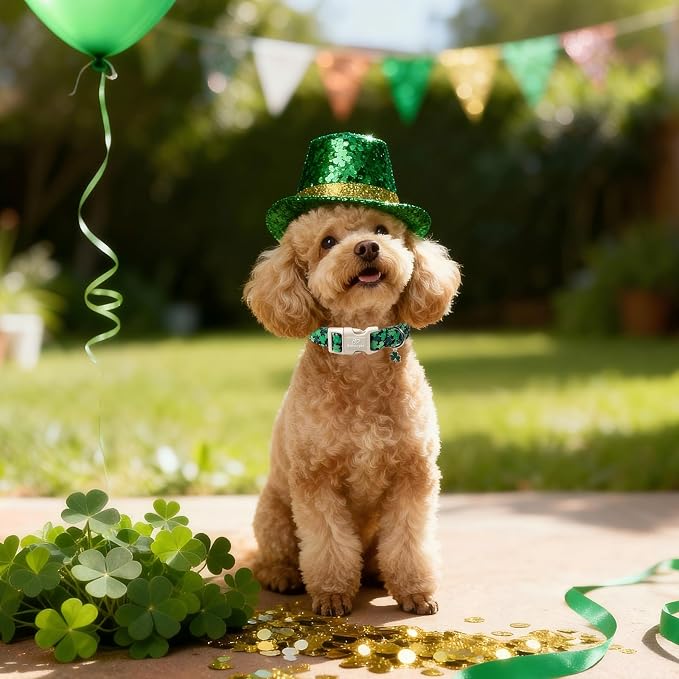 St Patricks Day Dog Collar for Giant Large Dogs - Image 6