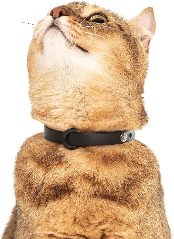 5 Pack Breakaway Cat Collar - Image 9