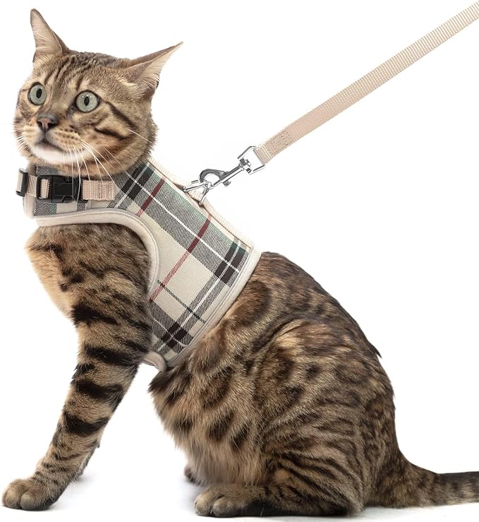 PUPTECK Soft Mesh Cat Vest Harness and Leash Set Puppy Padded Pet Harnesses by PUPTECK
