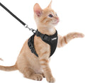 rabbitgoo Cat Harness and Leash by rabbitgoo