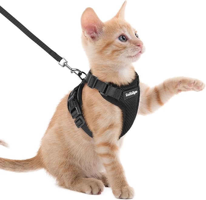 rabbitgoo Cat Harness and Leash by rabbitgoo