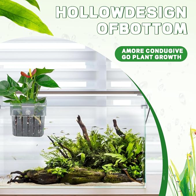 2PCS Aquarium Plant Holder - Image 6