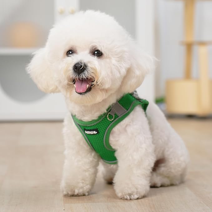 AIITLE Escape Proof Dog Harness - Image 6