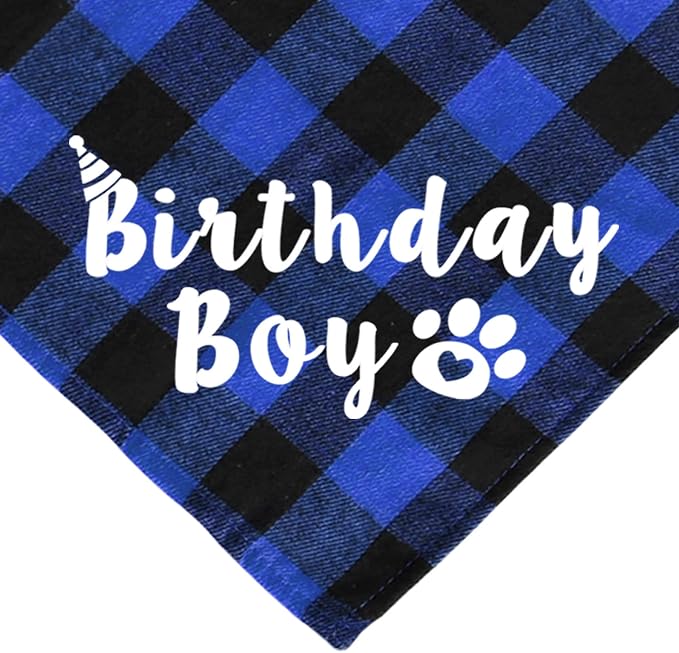 Cat Birthday Party Supplies, Cat Birthday Hat - Image 4