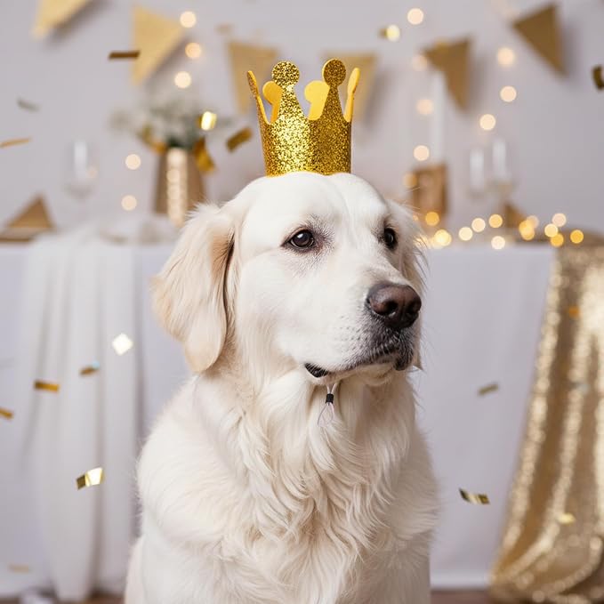 Gold Dog Birthday Crown, 3.54 Inch Height Glitter Pet Crown, Mini Party Hat - Image 9