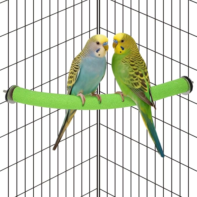 Rypet Parrot Perch Stand Toy Used by RYPET