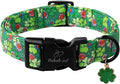 St Patricks Day Dog Collar for Small Dogs by Babolepet