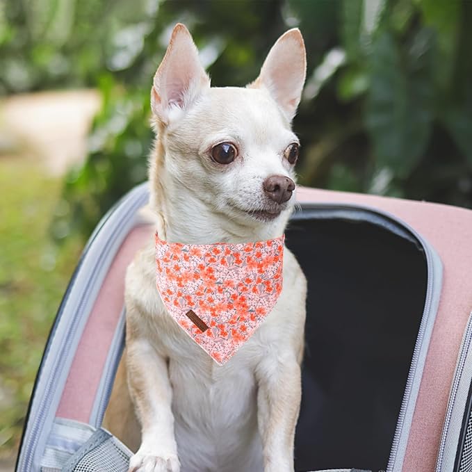 Summer Dog Bandana, UP URARA PUP Orange Bandana - Image 5