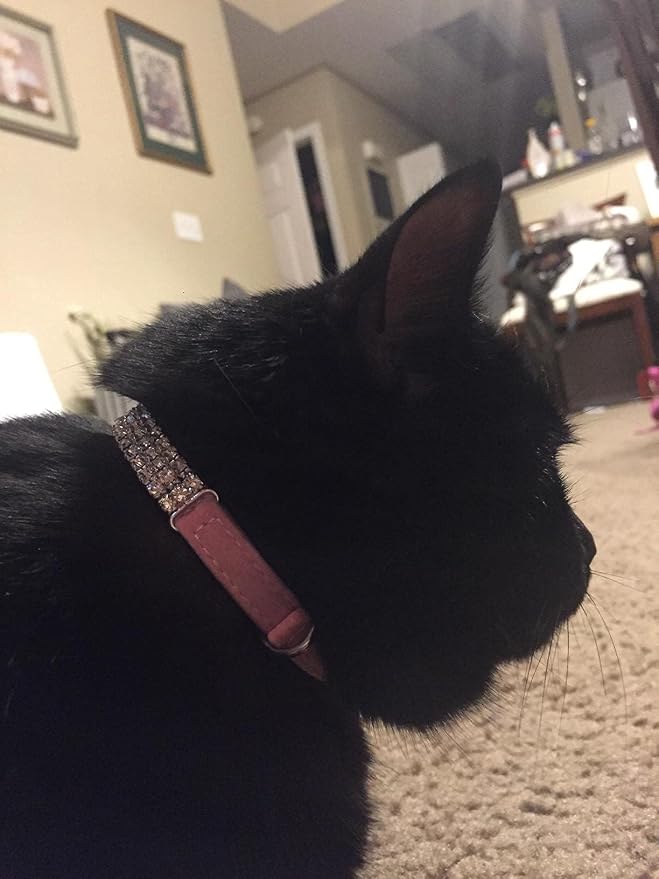 CHUKCHI Soft Velvet Safe Cat Adjustable Collar Bling Diamante - Image 5