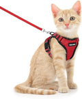 Dooradar Cat Harness and Leash Set, Escape Proof Safe Adjustable Kitten Vest by Dooradar