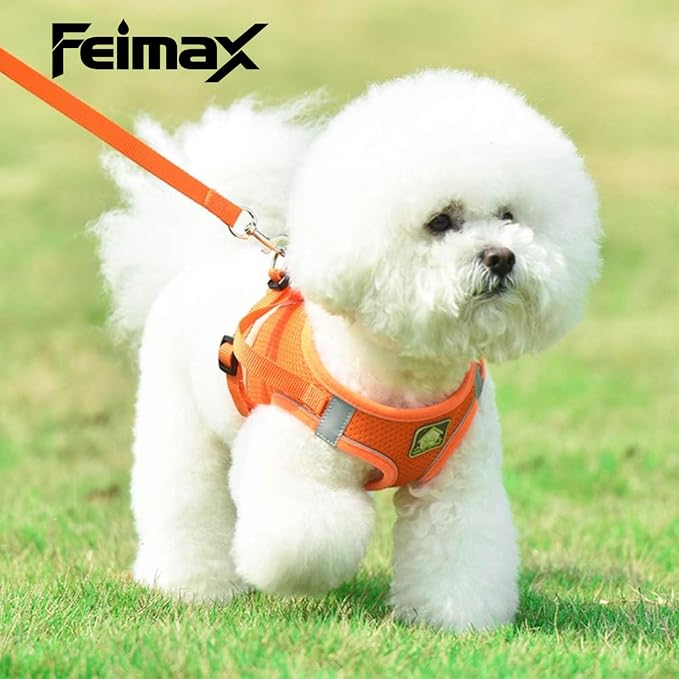 FEimaX Dog Harness and Leash Set, No Pull Breathable Soft Mesh Puppy Vest - Image 4