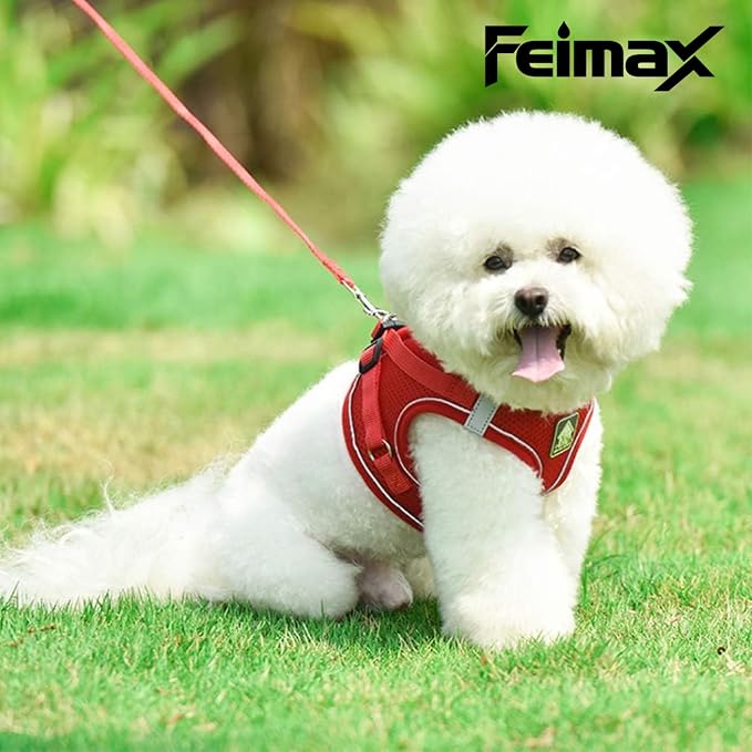 FEimaX Dog Harness and Leash Set, No Pull Breathable Soft Mesh Puppy Vest - Image 4