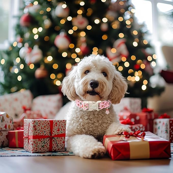 Christmas Dog Collar - Image 2