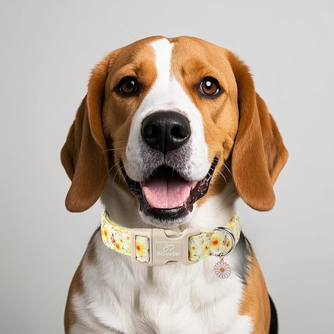 Adjustable Floral Dog Collar, Lightweight Quick-Release Buckle Collar - Image 2
