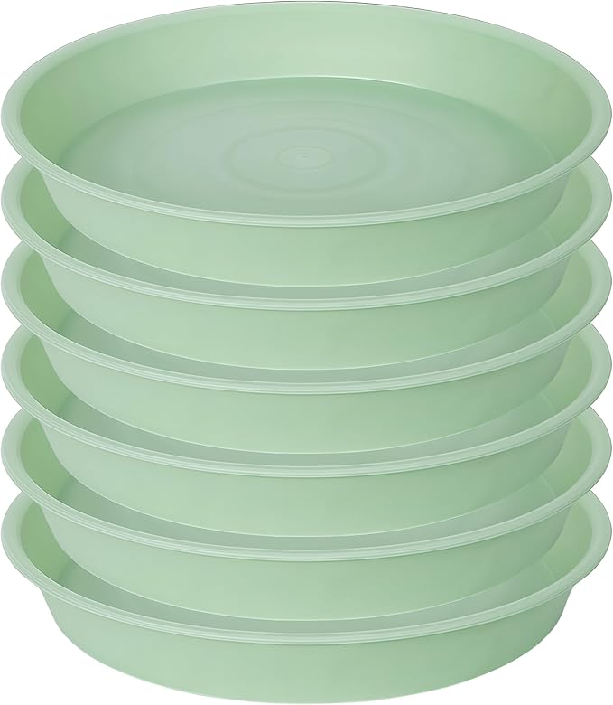 6 Pack of 12 inch Plant Saucer, Heavy Duty Plastic Plant Saucer 12" Round by Bleuhome