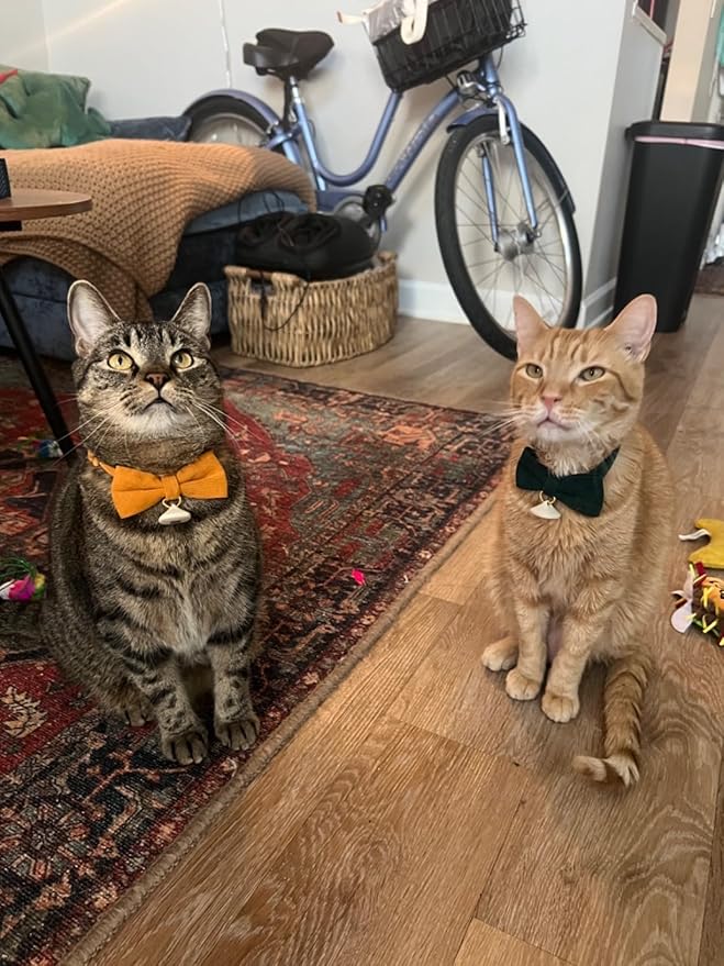 2 Pack Soft Corduroy Cat Collars - Image 7