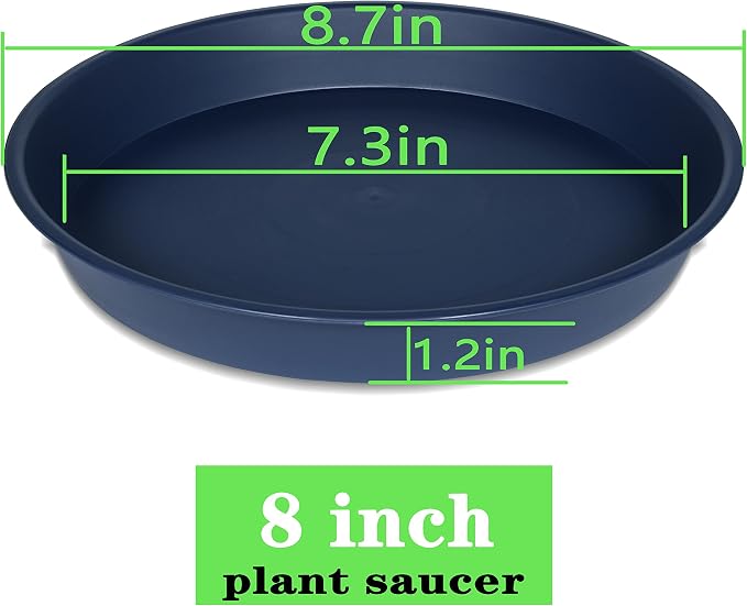 6 Pack of 8 inch Plant Saucer Blue, Plastic Plant Water Tray 8 inch Round - Image 2