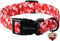 Unique style paws Valentine's Day Dog Collar Plastic Buckle Collar by Uniquestylepaws