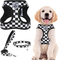 PUPTECK Adjustable Dog Harness Collar and Leash Set Step in No Pull Pet Harness by PUPTECK