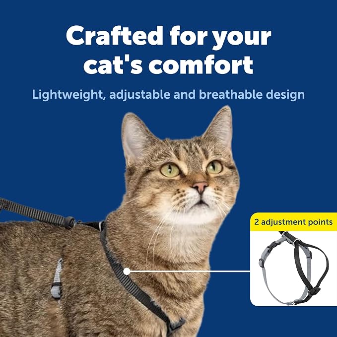 PetSafe Come With Me Kitty Cat Harness & Bungee Leash - Image 5
