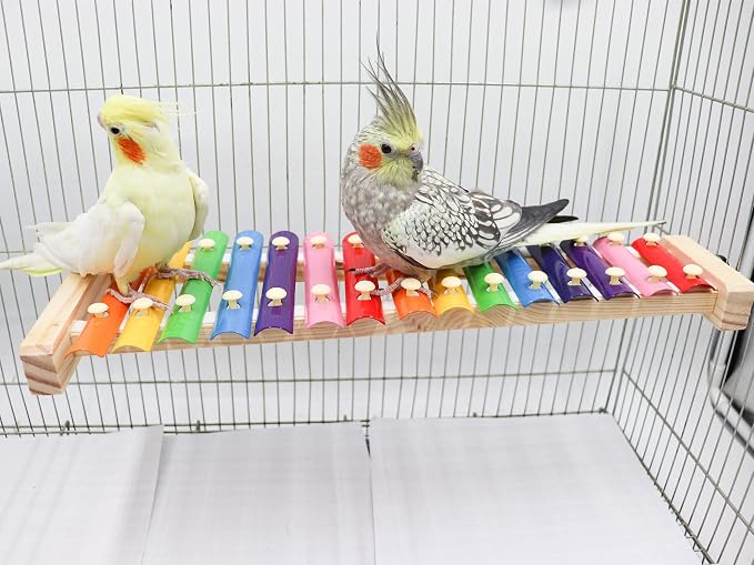 Dnoifne Colorful Bird Xylophone Toy, Funny Xylophone Toy - Image 2