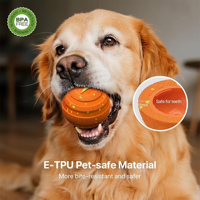 Interactive Dog Toys Balls Moving - Image 4