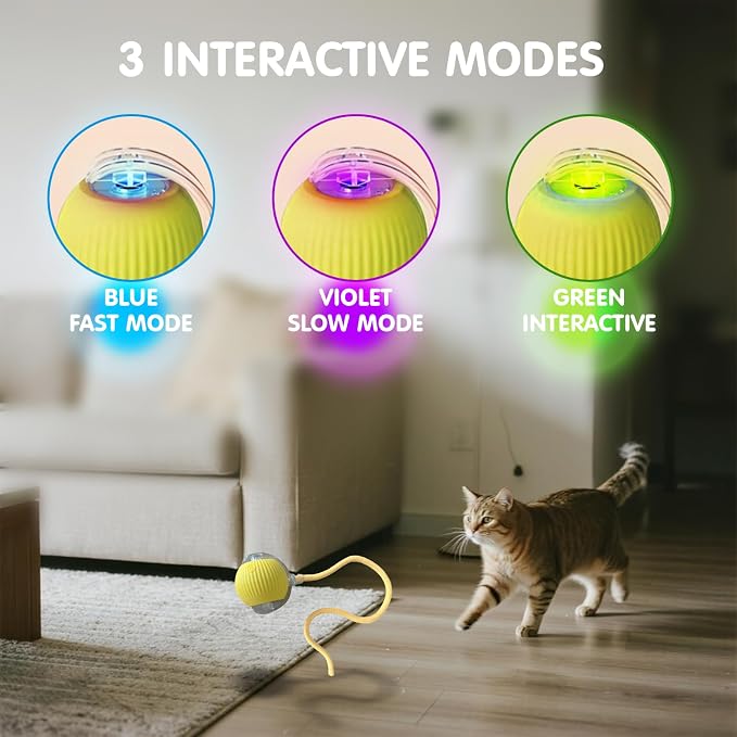 Rocfish Durable Interactive Cat Toys - Image 4
