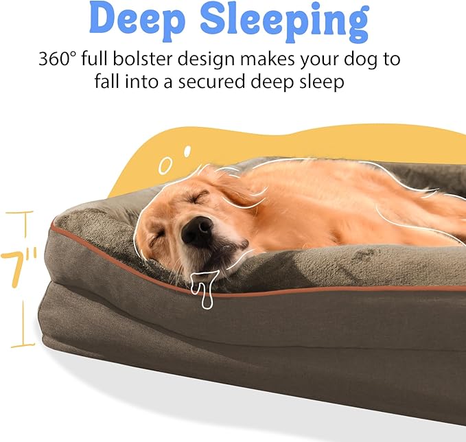 Orthopedic XL Large Dog Bed - Image 3