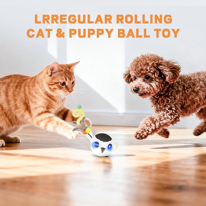 Cat Toys, Interactive Kitten Toys Indoor Cats, USB Rechargeable Electronic - Image 7