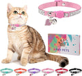 Rhinestone Cat Collar Breakaway by DILLYBUD