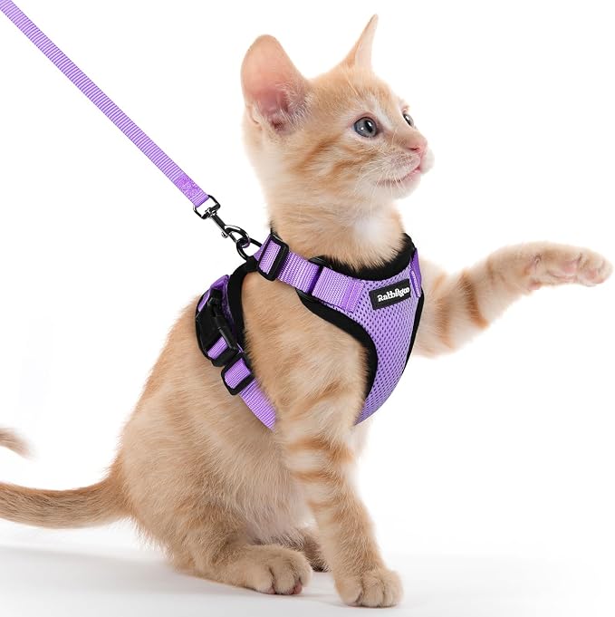 rabbitgoo Cat Harness and Leash by rabbitgoo