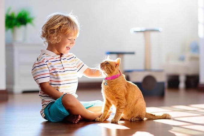 12 PCS Breakaway Cat Collars - Image 6