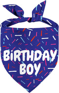 Birthday Boy Dog Bandanas 1 Pack, Pet Scarves by Yaofavo