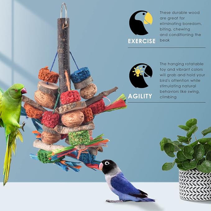 Bissap Bird Chew Toys, Natural Bark Corncob Nuts Parrot Toys and Treats - Image 4