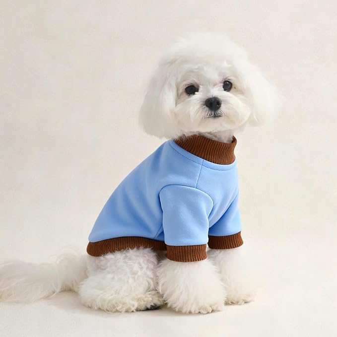 Custom Dog Hoodie, Personalized Sweatshirt - Image 5
