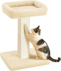 AGYM Cat Scratching Post, 32”Cat Scratcher by AGYM