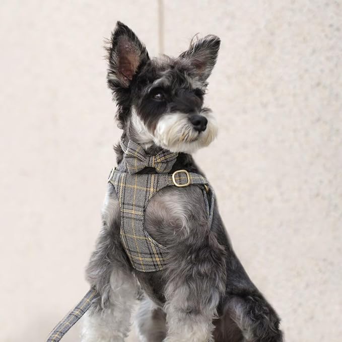 Beirui Cute Extra Small Dog Harness Collar and Leash Set - Image 3