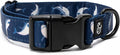 Lucy & Co. Shark Attack Adjustable Dog Collar- Cute Designer Pet Collar by LucyCo