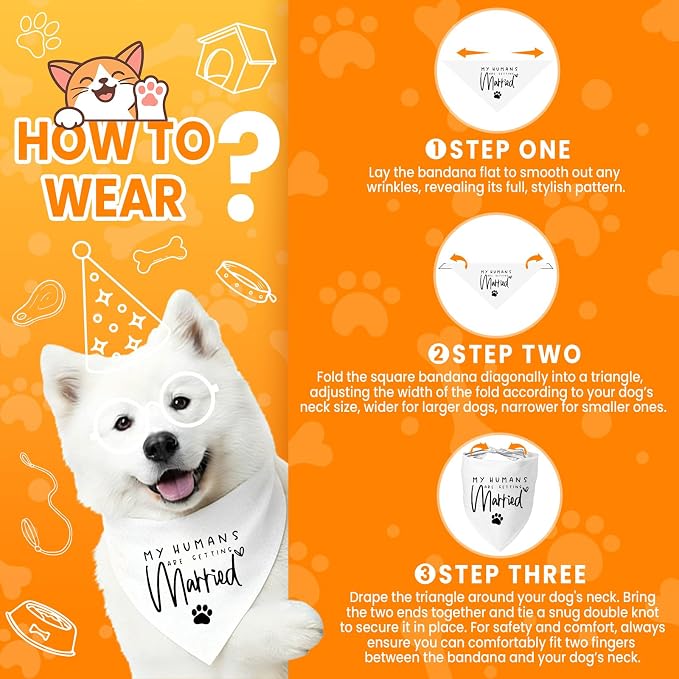 My Parents are Getting me a Human, Pregnancy Announcement Dog Bandana, Gender - Image 4