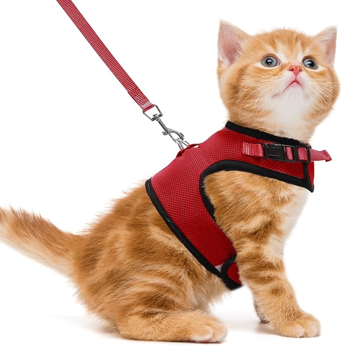 PUPTECK Soft Mesh Cat Vest Harness and Leash Set Puppy Padded Pet Harnesses by PUPTECK