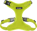Voyager Step-in Pet Harness by BestPetSuppliesLLC