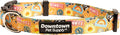 Downtown Pet Supply by DowntownPetSupply