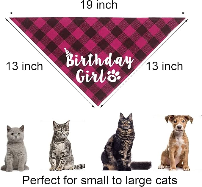 Cat Birthday Party Supplies, Cat Birthday Hat Crown - Image 5