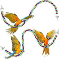 Weewooday 2 Pcs Bird Rope Perches Climbing Rope Bird Cage Accessories by Weewooday