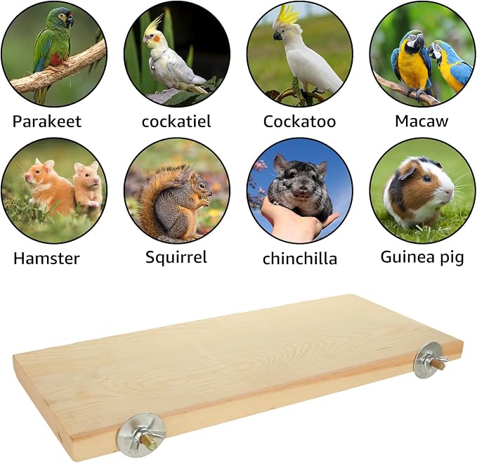 4 Pack Bird Perch Stand 12.4×5.3 Inch Parrot Wood Platform Rectangle Wood Perch - Image 7