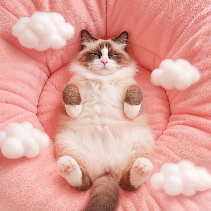Cat Tunnel Bed for Indoor Cats, Peekaboo Cat Cave Bed, Soft Cat Donut Tunnel - Image 5