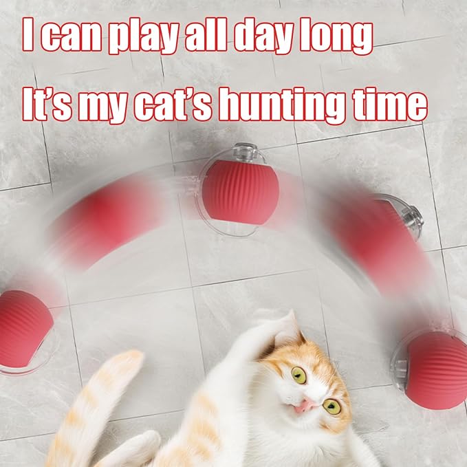 2025 New Interactive Dog Cat Toys Balls, Interactive Rolling Ball Cat Toy - Image 5
