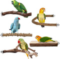 Bird Perches, Bird Perch Chewing Stick Cage Accessories Parrot Climbing by HPAWHOMEPART