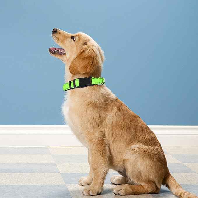 Reflective Dog Collar, Adjustable Soft Neoprene Padded Nylon Pet Collars
