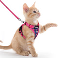rabbitgoo Cat Harness and Leash by rabbitgoo